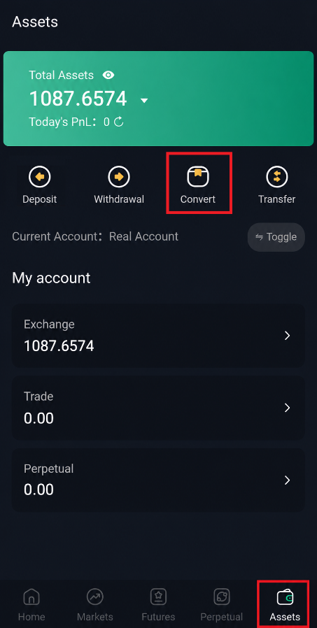 Ray Assets Convert